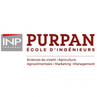 INP_PURPAN.png