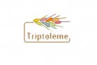 logo_triptoleme300x190.jpeg