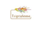 logo_triptoleme300x190.jpeg